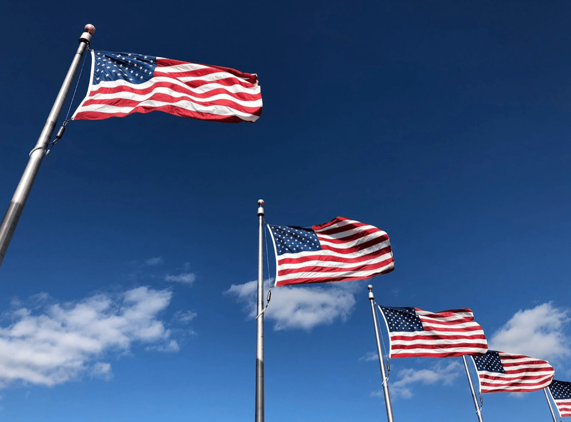 8 Best Altcoins to Buy as 269 Pro-Crypto Candidates Elected to Congress